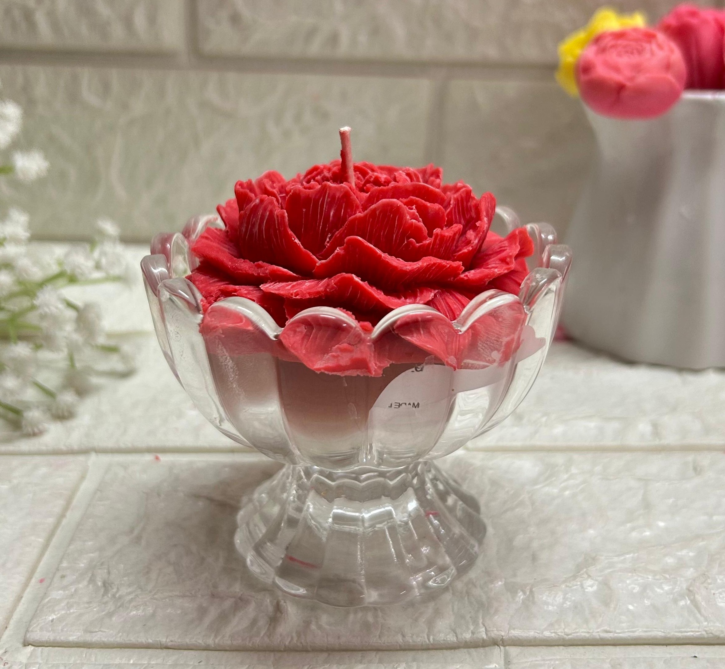 WhatsApp Image 2026-01-11 at 16.17.41