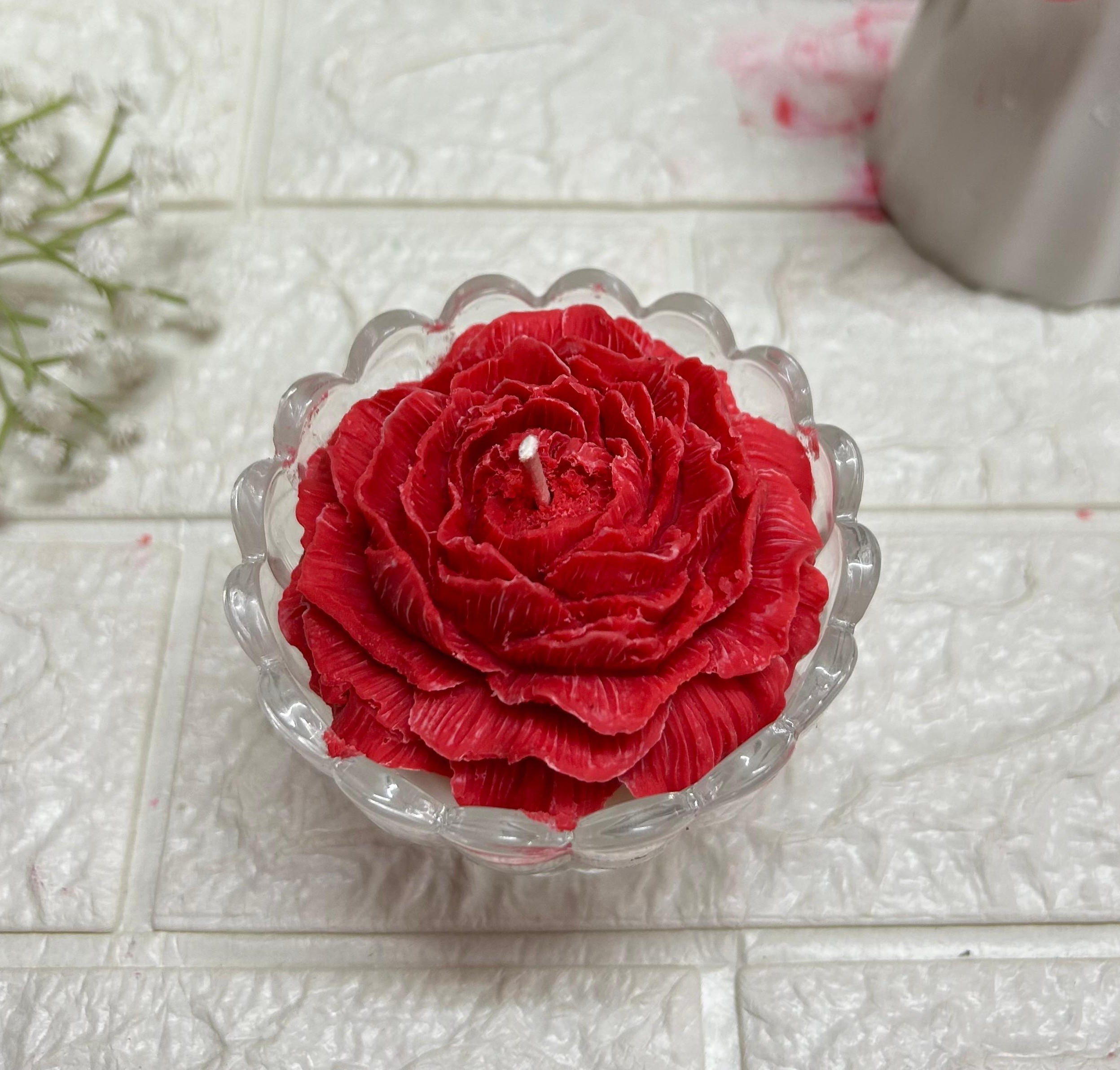 WhatsApp Image 2026-01-11 at 21.23.34